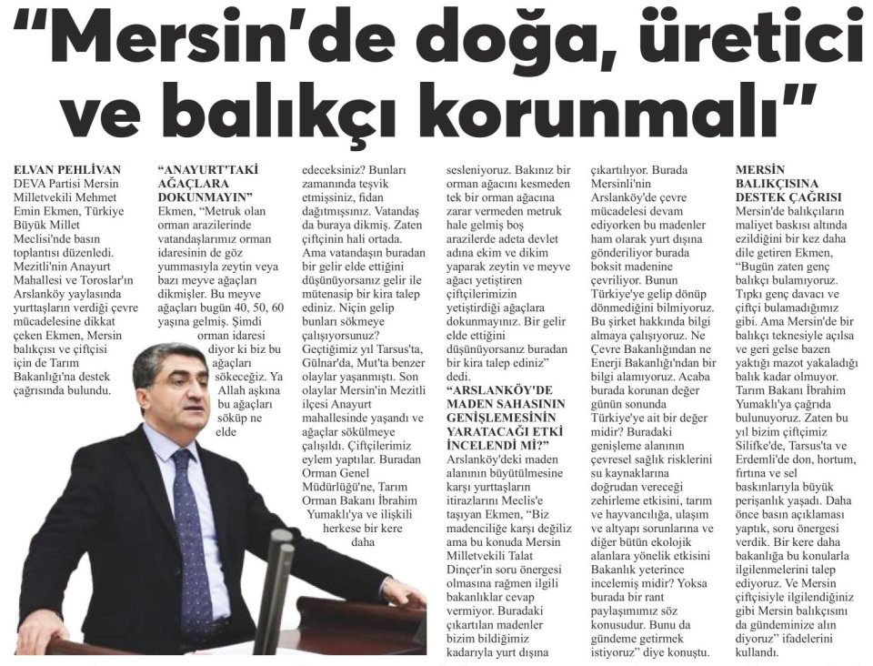ANAYURTTAKİ AĞAÇLARA DOKUNMAYIN