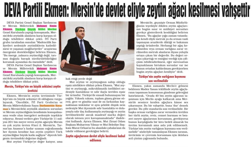 DEVA PARTİLİ EKMEN: MERSİN'DE DEVLET ELİYLE ZEYTİN AĞACI KESİLMESİ VAHŞETTİR