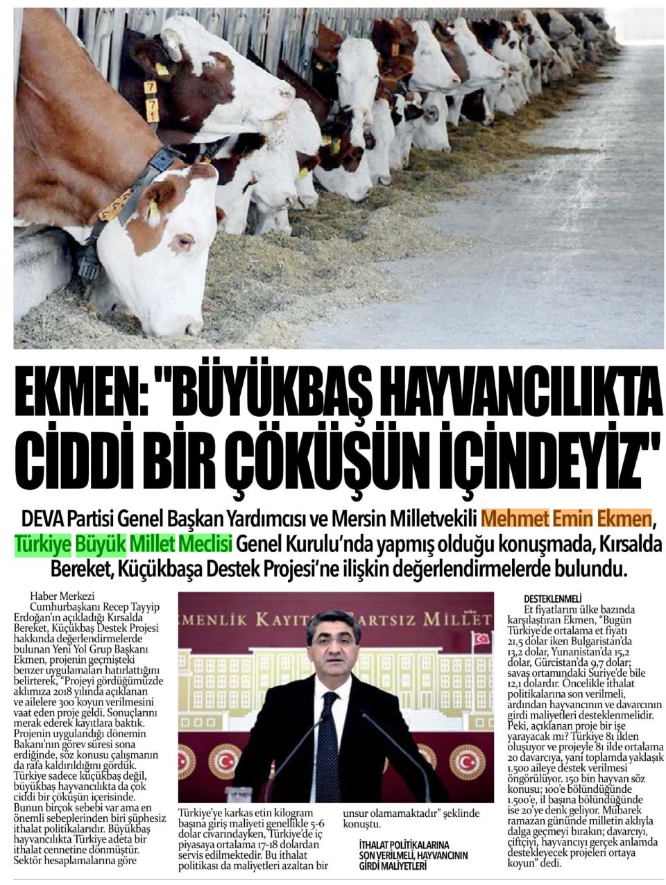 EKMEN: BÜYÜKBAŞ HAYVANCILIKTA CİDDİ BİR ÇÖKÜŞÜN İÇİNDEYİZ