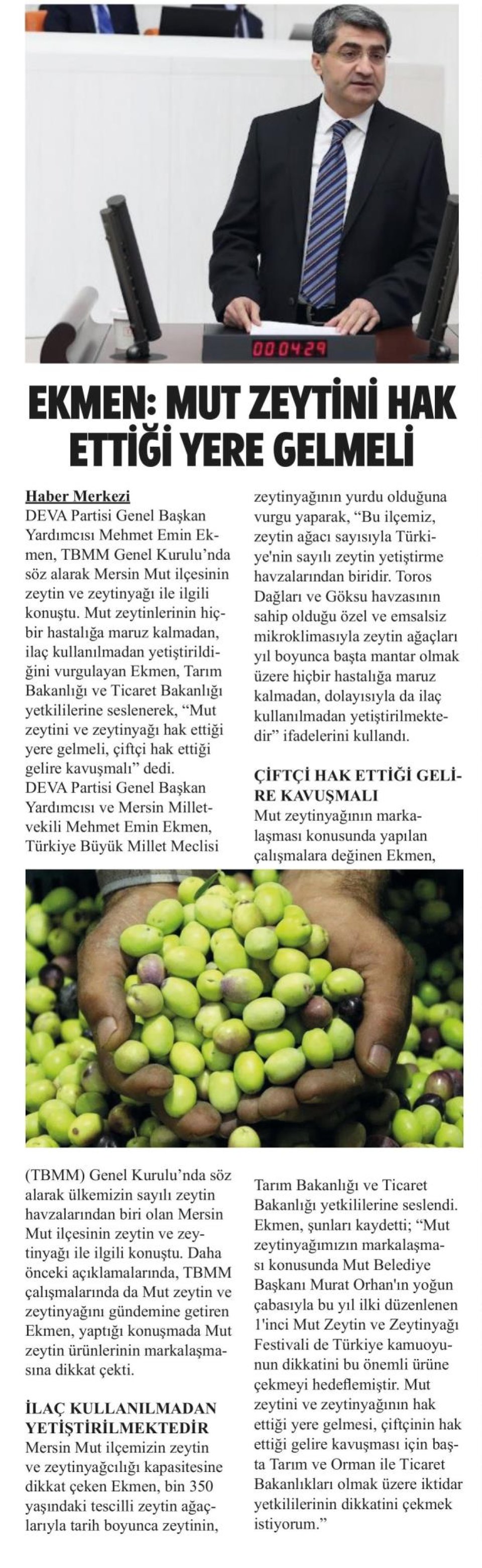 EKMEN : MUT ZEYTİNİ HAK ETTİĞİ YERE GELMELİ