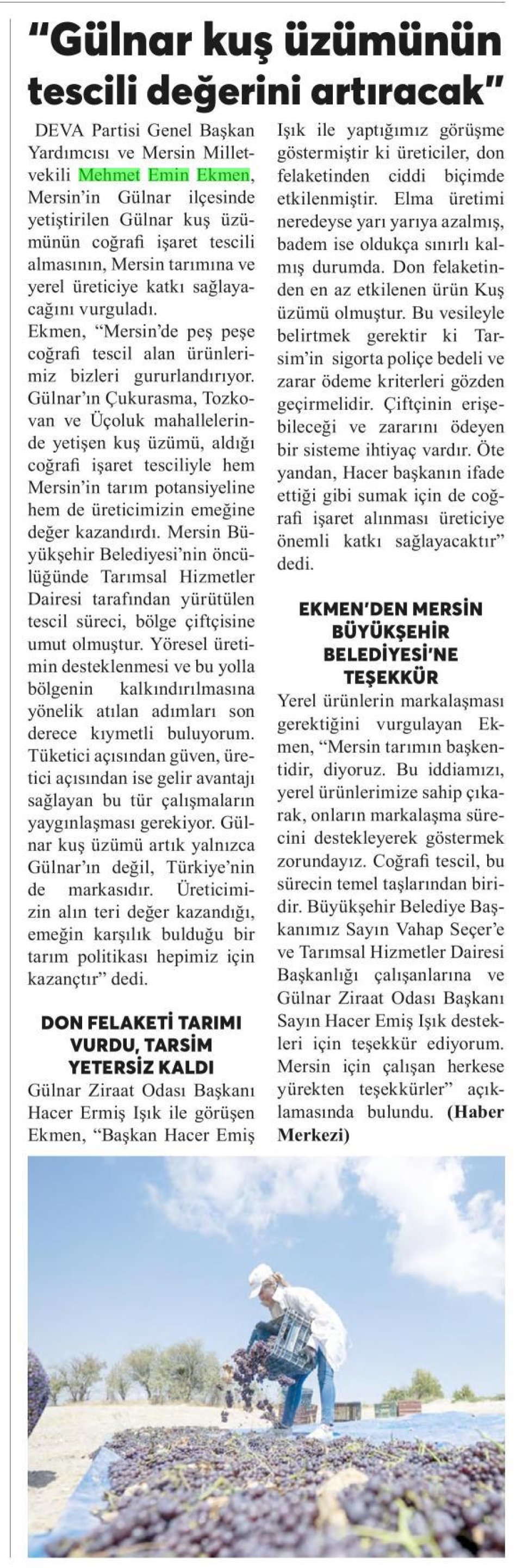 GÜLNAR KUŞ ÜZÜMÜNÜN TESCİLİ DEĞERİNİ ARTIRACAK