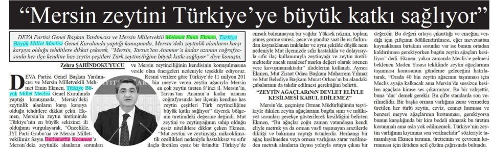 MERSİN ZEYTİNİ TÜRKİYE'YE BÜYÜK KATKI SAĞLIYOR