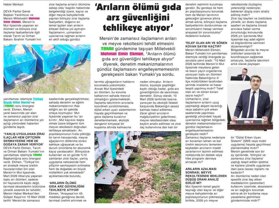 MERSİN'DEKİ ARI ÖLÜMLERİ TBMM GÜNDEMİNE TAŞINDI