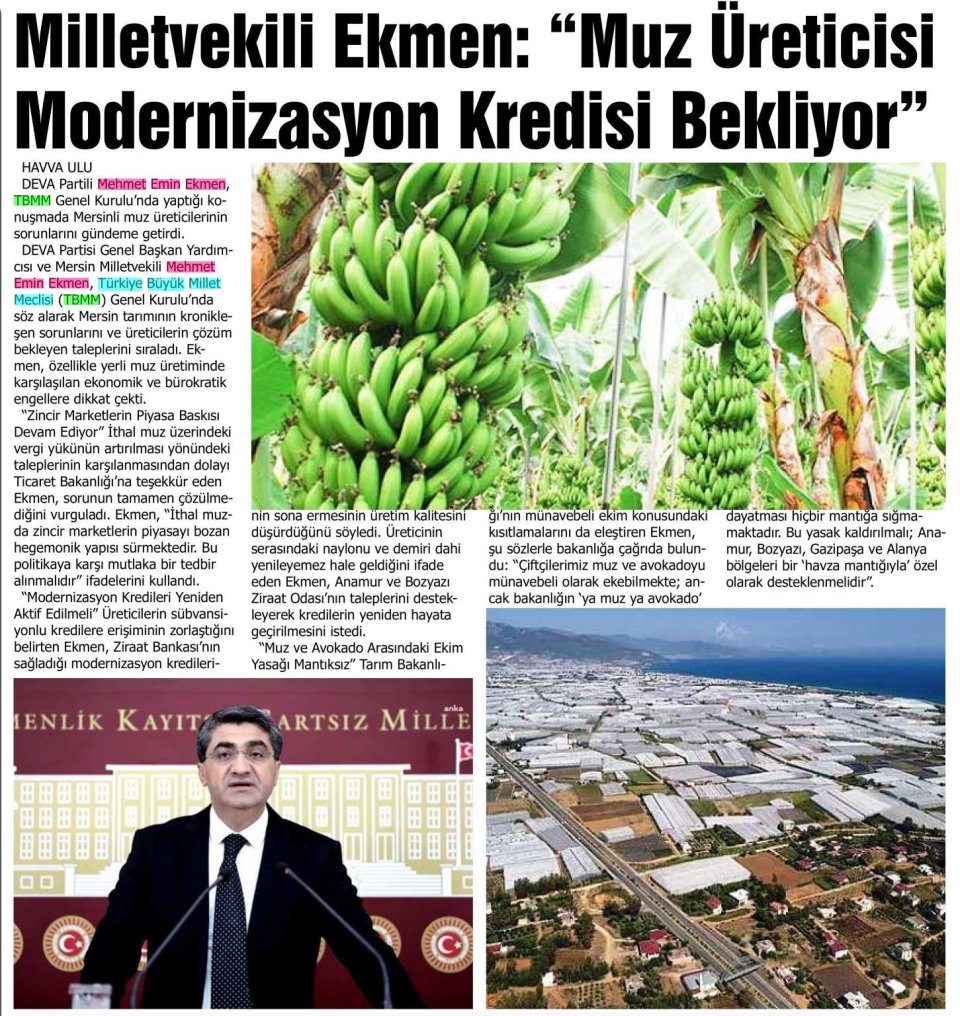 MİLLETVEKİLİ EKMEN: MUZ ÜRETİCİSİ MODERNİZASYON KREDİSİ BEKLİYOR