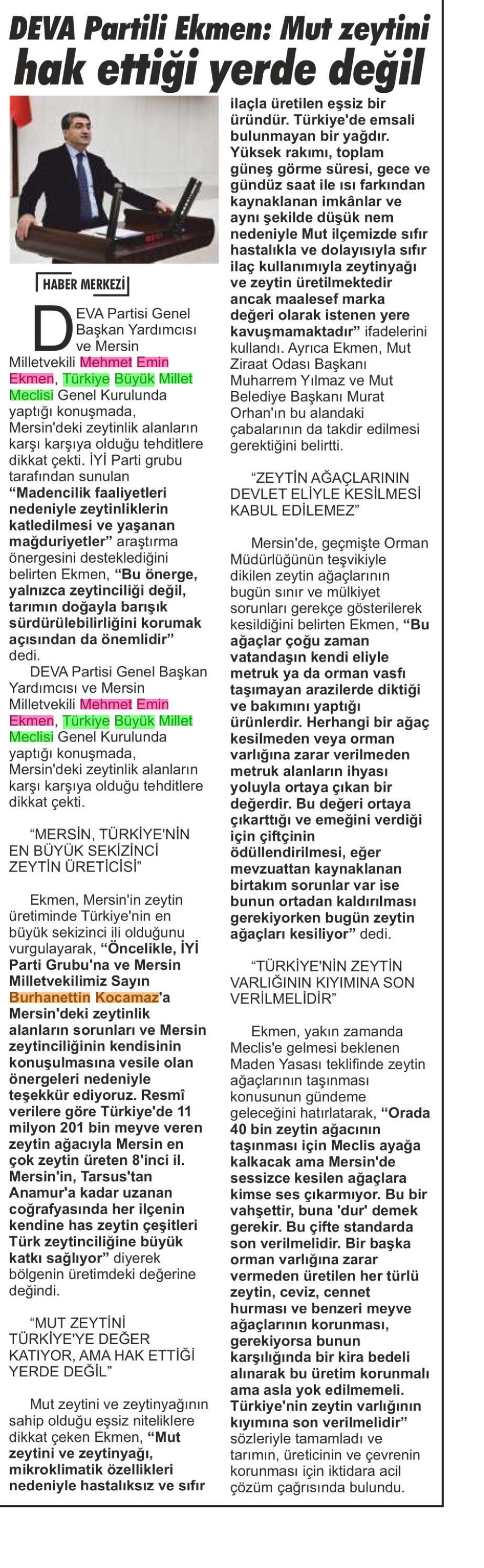 MUT ZEYTİNİ HAKETTİĞİ YERDE DEĞİL