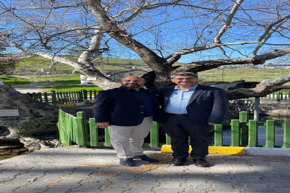 Tescillenen Anıt Çınar Ağaçları Ziyareti